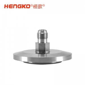 微電子半導(dǎo)體晶圓制程工藝氣體過(guò)濾終端 316L 外殼快速進(jìn)氣擴(kuò)散器