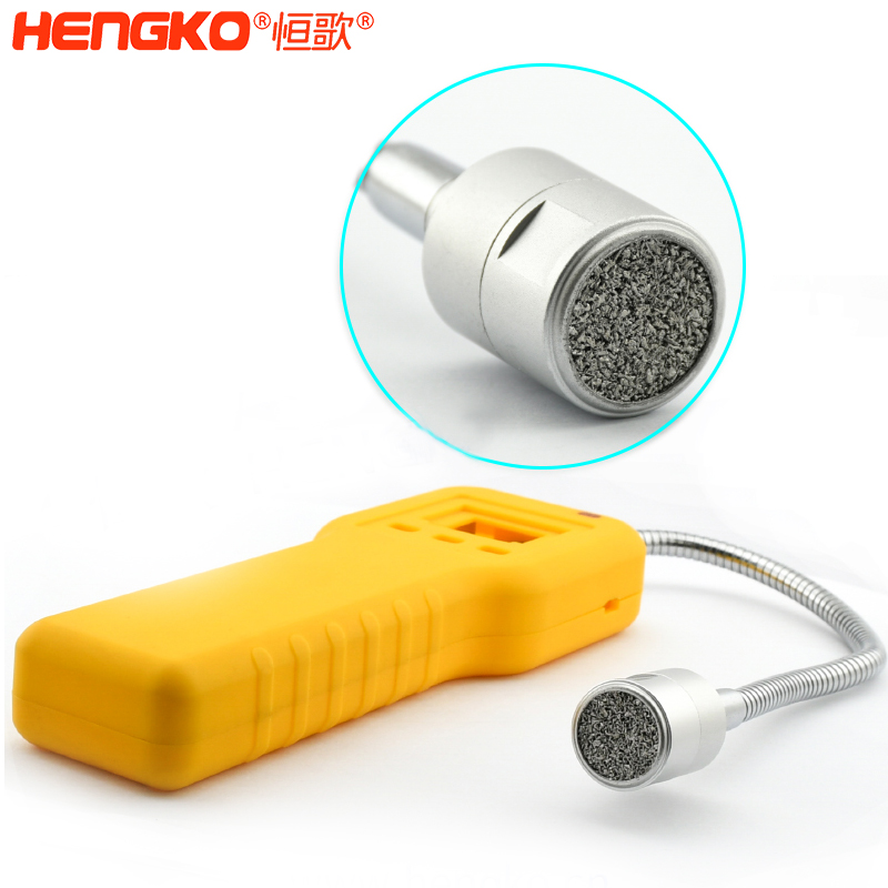 便攜式氣體傳感器DSC_7923